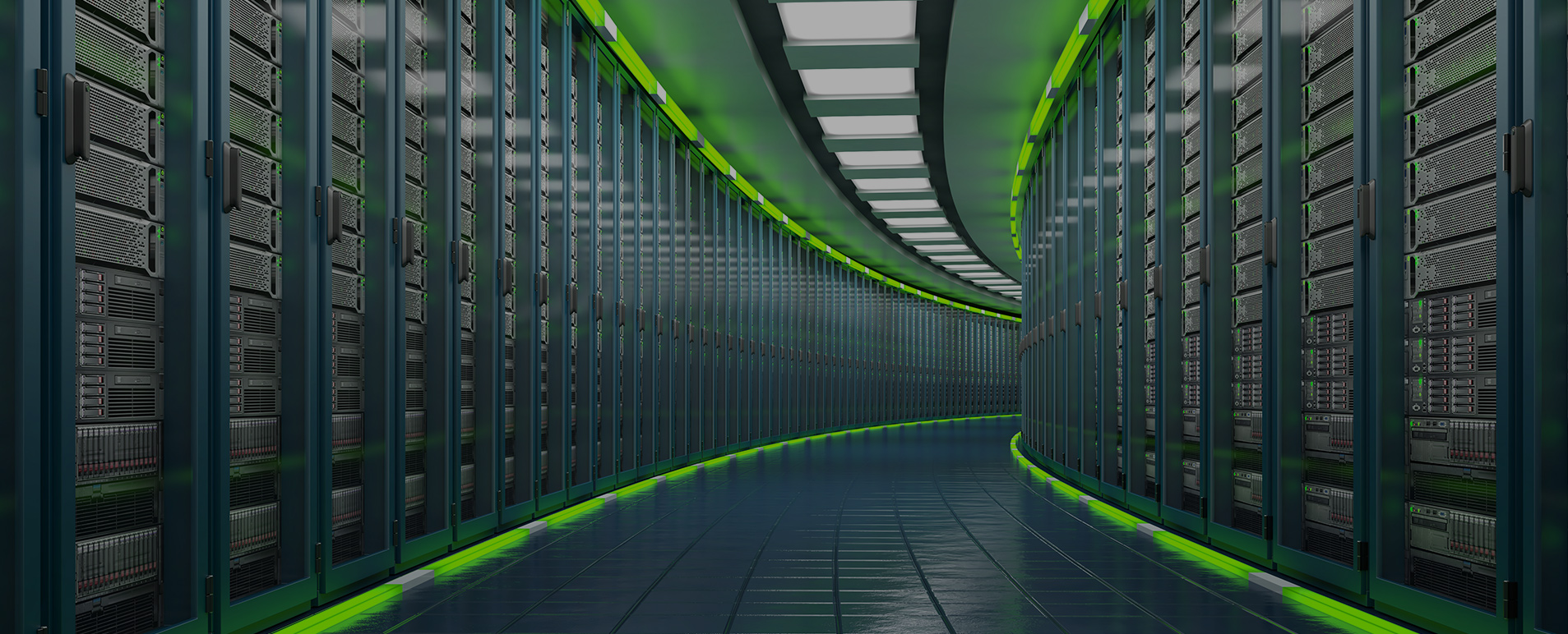 Website Hosting